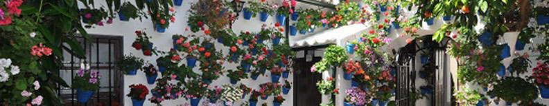 Utilidades de la herramienta