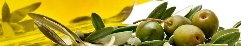 Mapa municipios y comarcas